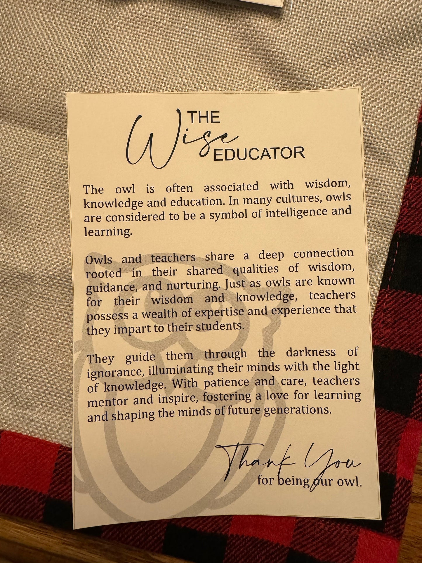 The Wise Educator Ornament | Christmas Ornament | Owl Ornament
